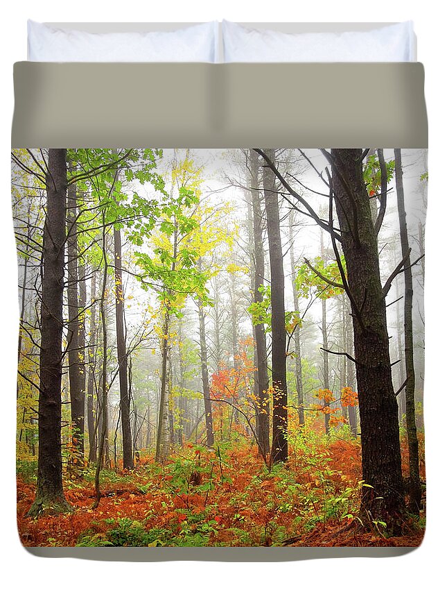 Scenics Duvet Cover featuring the photograph Autumn Scenery by Denistangneyjr