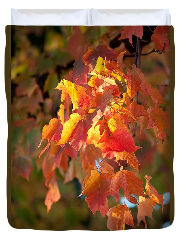 Autumn Duvet Cover featuring the photograph Autumn by Sebastian Musial