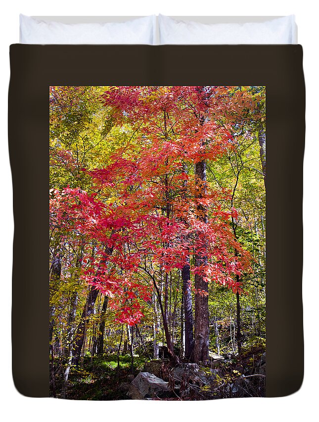 Woods Duvet Cover featuring the photograph Autumn Splender by Paul W Faust - Impressions of Light