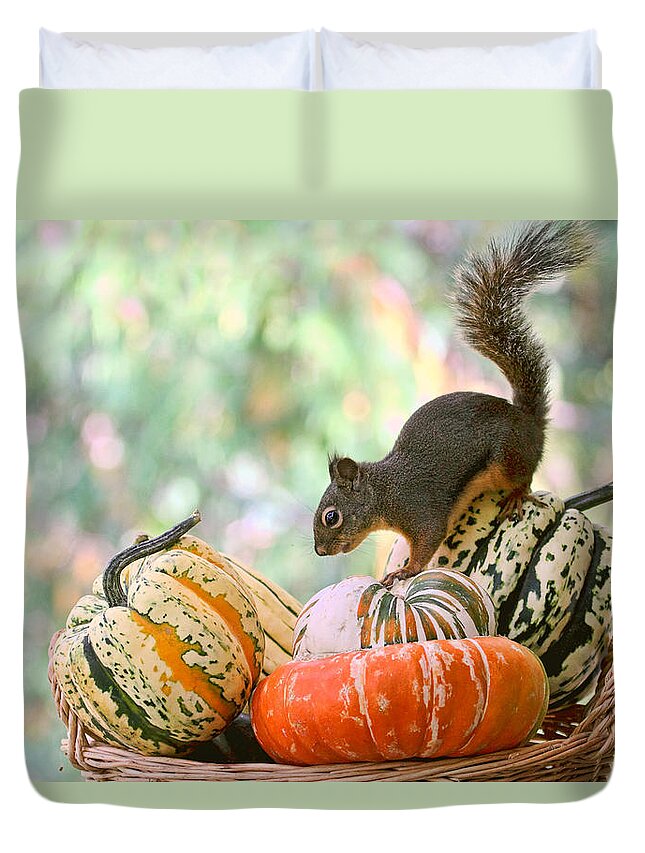 Autumn Duvet Cover featuring the photograph Autumn Still Life with Squirrel by Peggy Collins