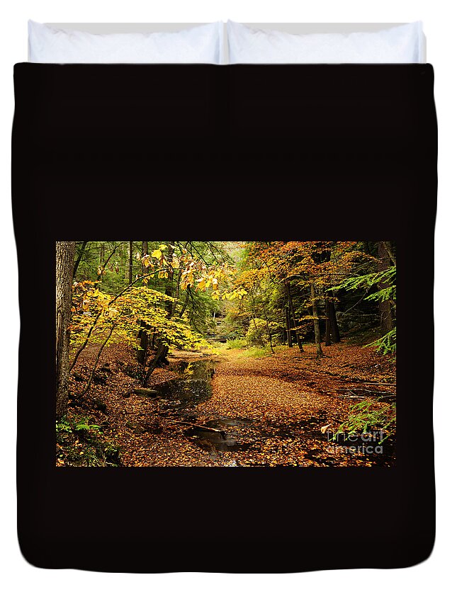 Photography Duvet Cover featuring the photograph Autumn Stream by Larry Ricker