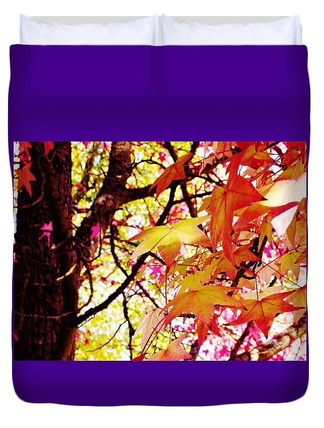 Autumn Duvet Cover featuring the photograph Autumn Sweet Gum by Pamela Patch
