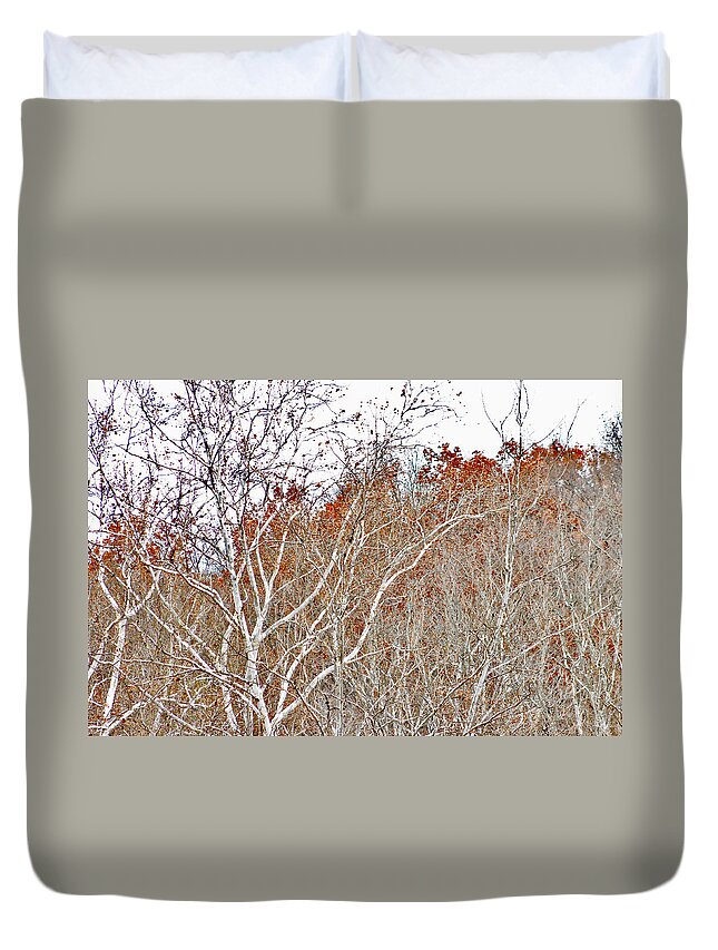 Cuyahoga Valley National Park Duvet Cover featuring the photograph Autumn Sycamores by Bruce Patrick Smith