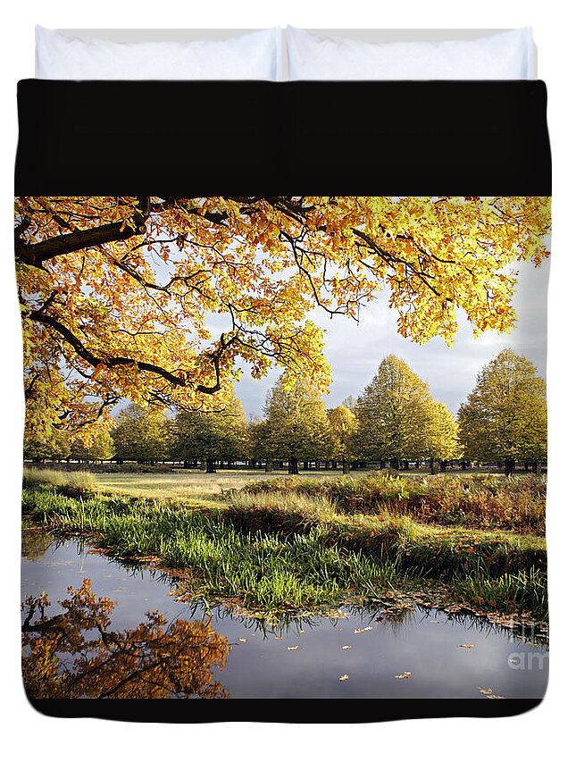 Autumn Trees Fall Autumnal Park Landscape Countryside English British Oak Golden River England Duvet Cover featuring the photograph Autumn Trees by Julia Gavin