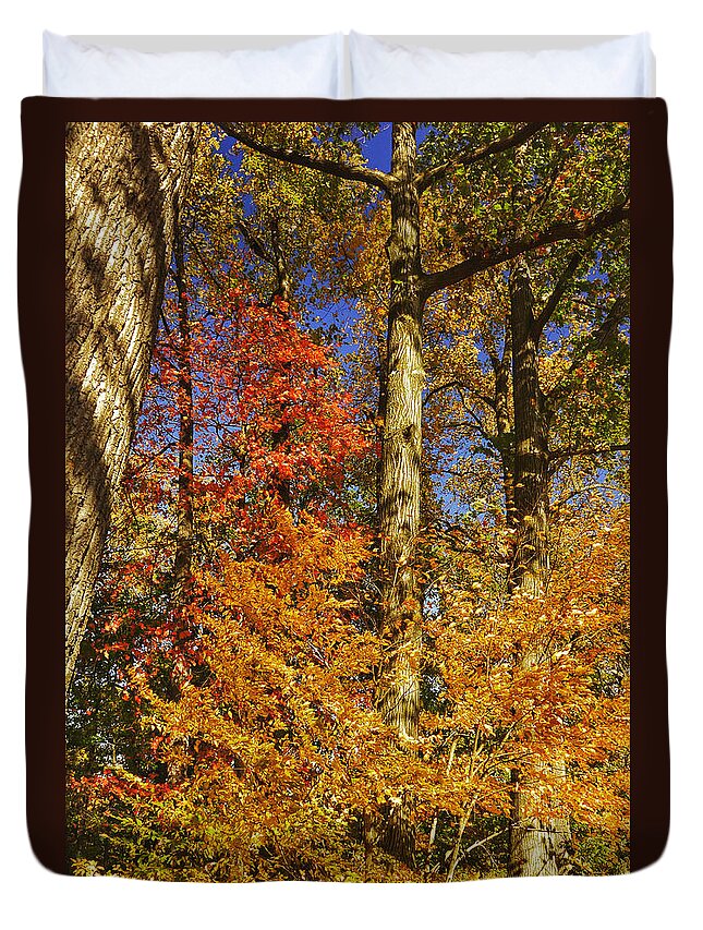 Autumn Duvet Cover featuring the photograph Autumn Trees by Kathi Isserman