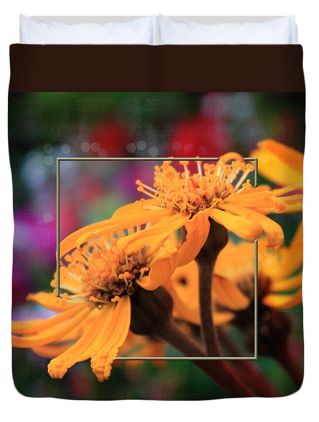 Leopards Bane Flower Duvet Cover featuring the photograph Autumn's Glory by Sandra Foster