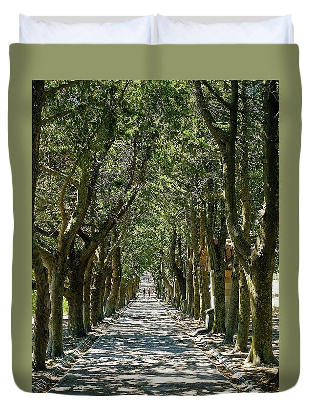 Shadow Duvet Cover featuring the photograph Avenue Of Trees Explore by Kennethbarker