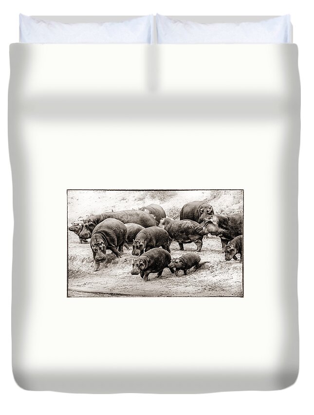Africa Duvet Cover featuring the photograph Aware Hippos by Mike Gaudaur