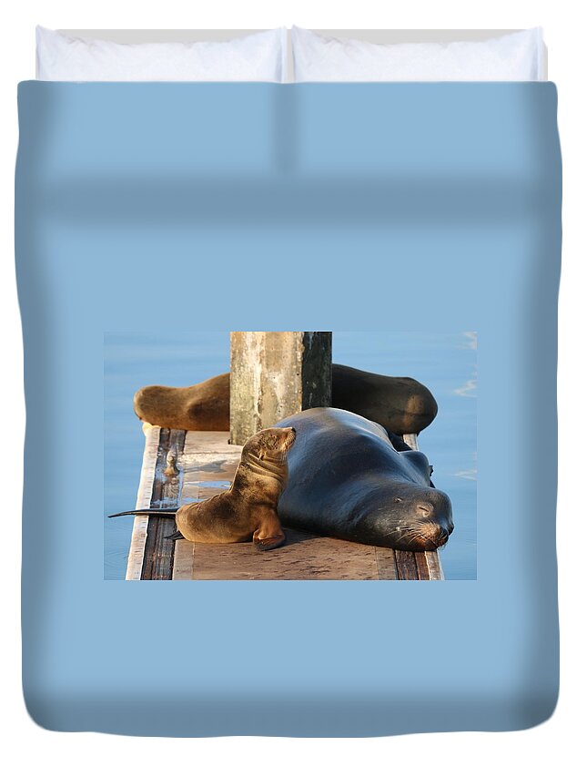 Wild Duvet Cover featuring the photograph Baby and Me by Christy Pooschke