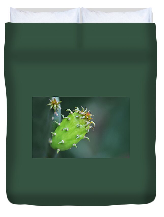 Macro Photography Duvet Cover featuring the photograph Baby Cactus - Macro Photography By Sharon Cummings by Sharon Cummings