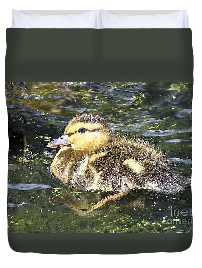 Animal Duvet Cover featuring the photograph Baby Duck by Teresa Zieba