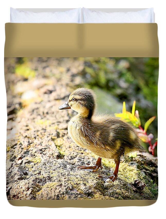 Duckling Duvet Cover featuring the photograph Baby Duckling by Athena Mckinzie