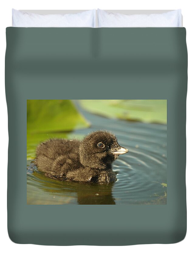 Common Loon Duvet Cover featuring the photograph Baby Loon by James Peterson