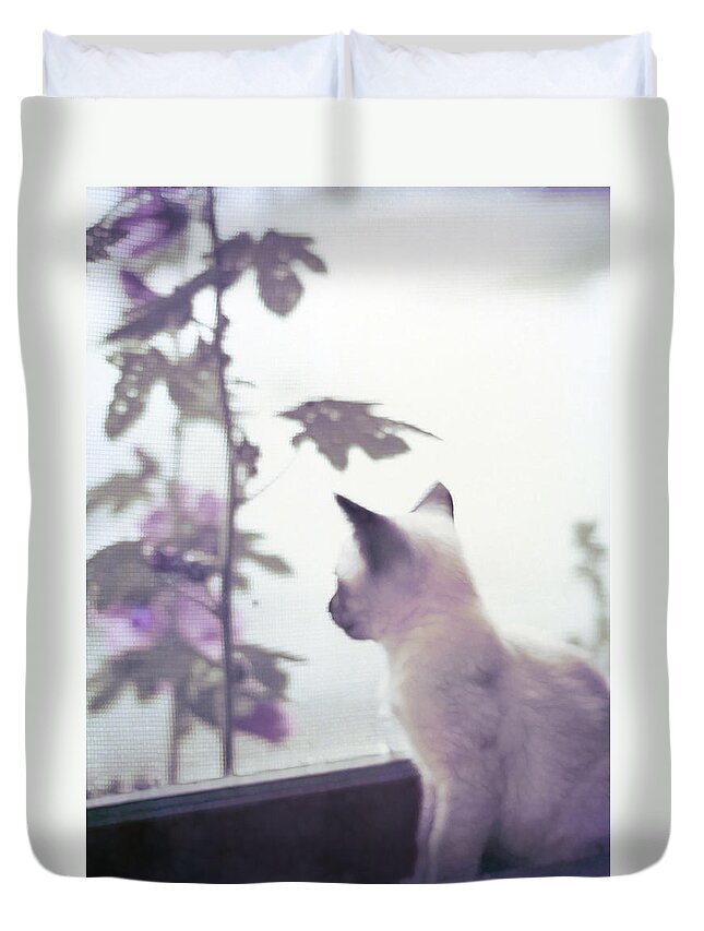 Siamese Duvet Cover featuring the photograph Baby Siamese Kitten by Lynn Hansen