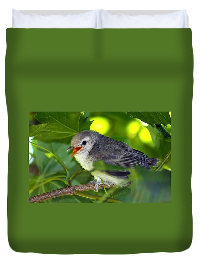 Sparrow Duvet Cover featuring the photograph Baby Sparrow in the Maple Tree by Karon Melillo DeVega