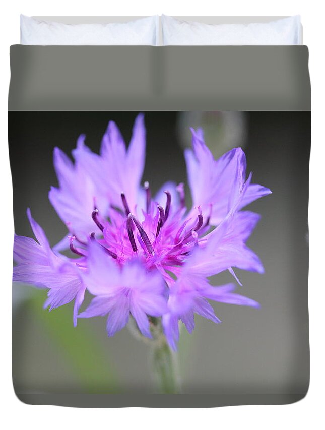Flower Duvet Cover featuring the photograph Bachelor's Buttons by Ruth Kamenev