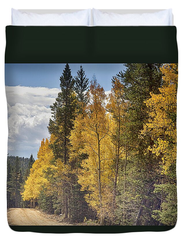 Autumn Duvet Cover featuring the photograph Back Road To Autumn by James BO Insogna