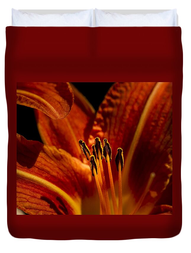 Backlit Duvet Cover featuring the photograph Backlit Lily by Jean Noren