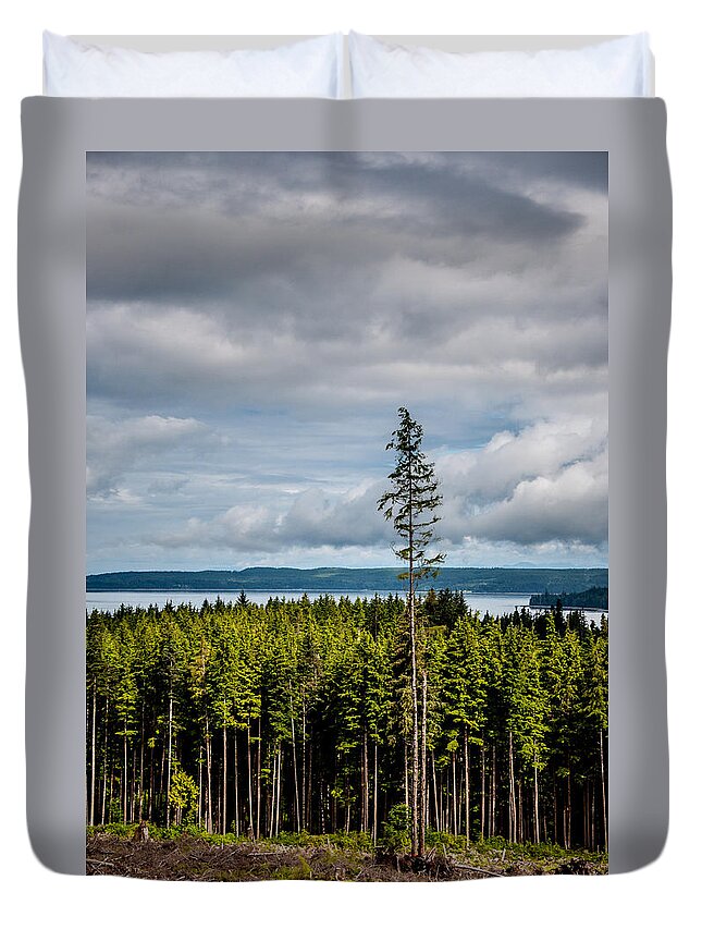 Backroad Duvet Cover featuring the photograph Logging Road Ocean View by Roxy Hurtubise