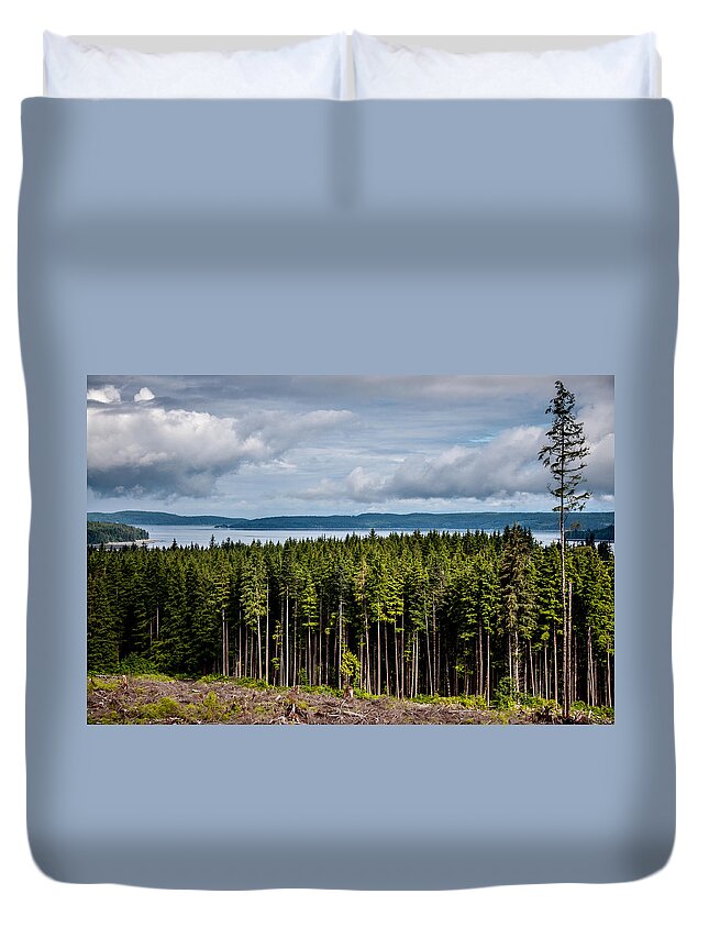 Backroad Duvet Cover featuring the photograph Logging Road Landscape by Roxy Hurtubise