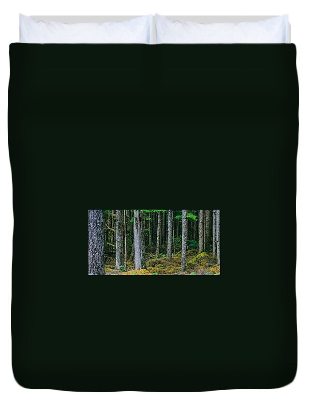 Backroad Duvet Cover featuring the photograph Inside View Backroad Forest by Roxy Hurtubise