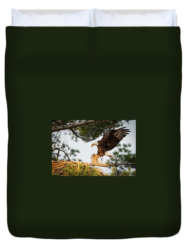 Bald Eagle Duvet Cover featuring the photograph Bald Eagle building nest by Everet Regal