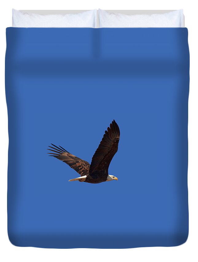 Bald Eagle Duvet Cover featuring the photograph Bald Eagle Fly By by Beth Sargent