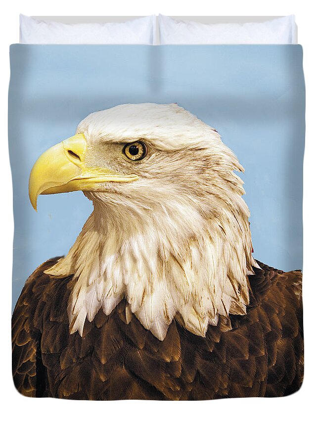 Wildlife Duvet Cover featuring the photograph Bald eagle Headshot Profile by William Bitman