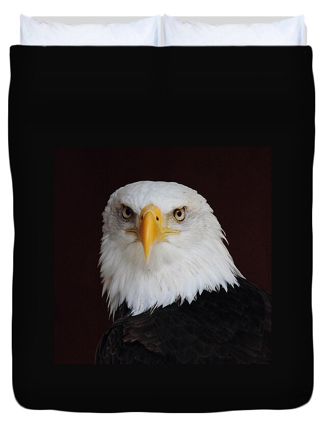Bald Eagle Duvet Cover featuring the photograph Bald Eagle Portrait by Randy Hall