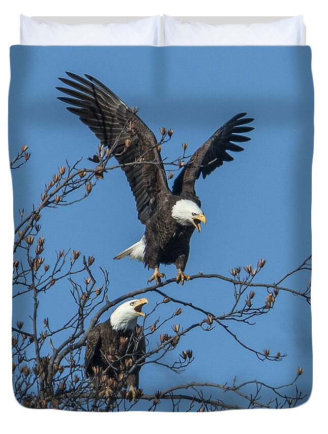 Marsh Duvet Cover featuring the photograph Bald Eagles Screaming DRB169 by Gerry Gantt
