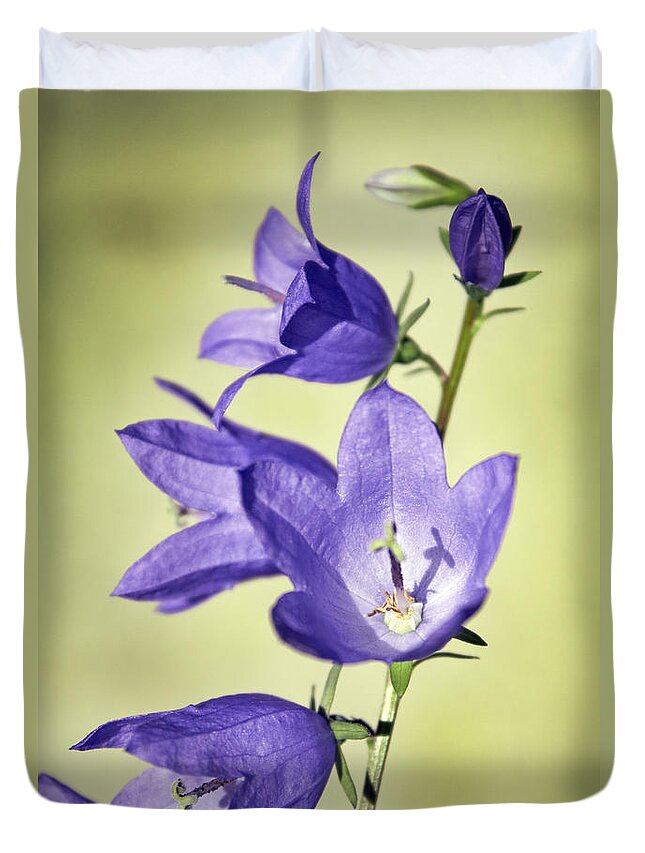 Blue Duvet Cover featuring the photograph Balloon Flowers by Tony Cordoza