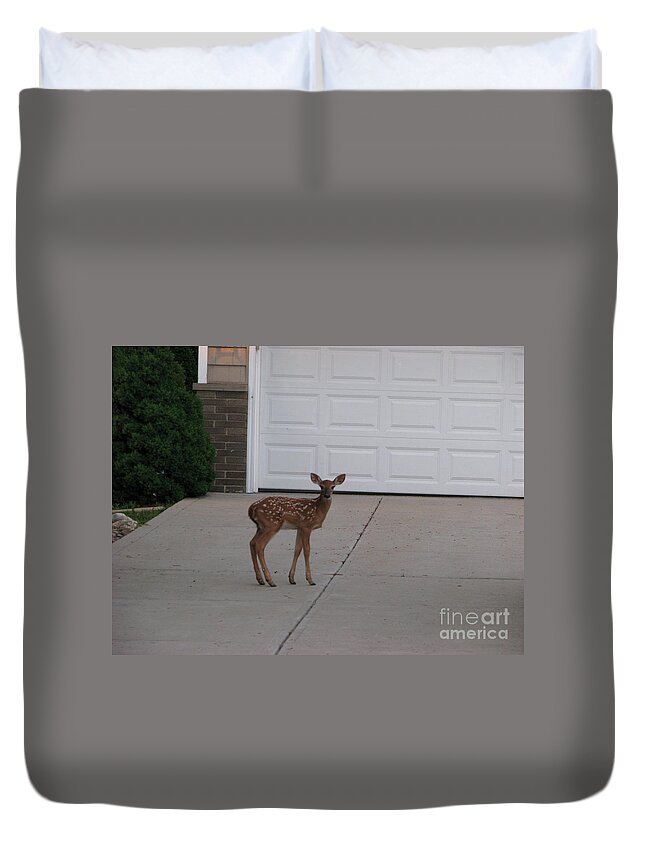 Deer Duvet Cover featuring the photograph Bambi by Michael Krek