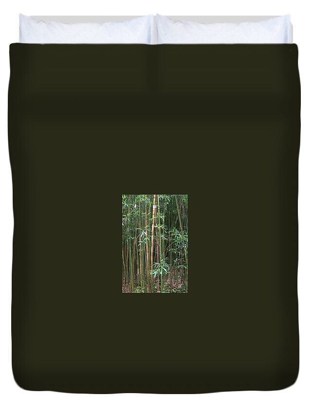  Duvet Cover featuring the photograph Bamboo Forest by Cornelia DeDona