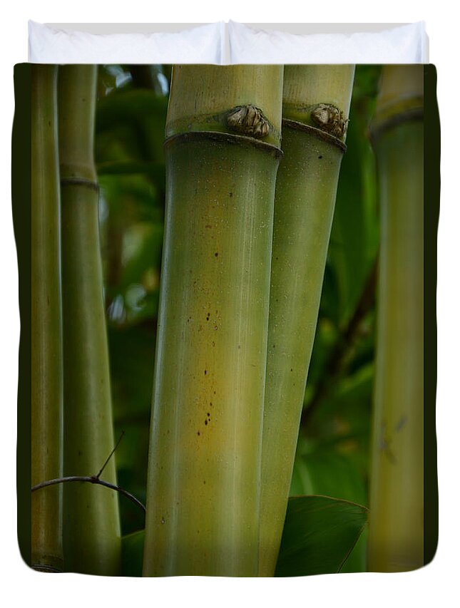 Bamboo Duvet Cover featuring the photograph Bamboo II by Robert Meanor