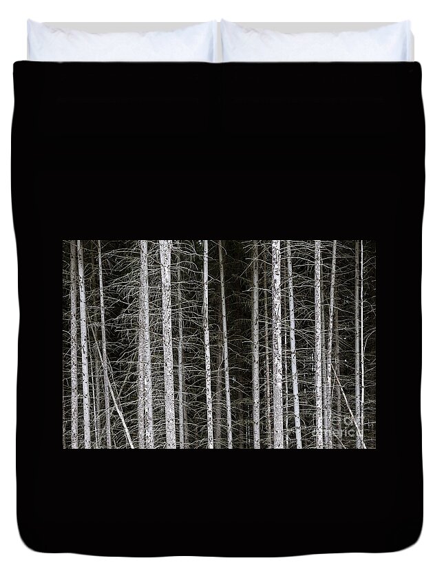 Pine Duvet Cover featuring the photograph Bare branches and trunks of pine trees make patterns beneath the forest canopy in western Maryland by William Kuta