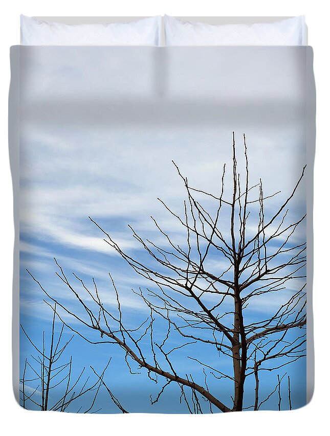 Tranquility Duvet Cover featuring the photograph Bare Trees Against A Partly Cloudy by David Mcglynn