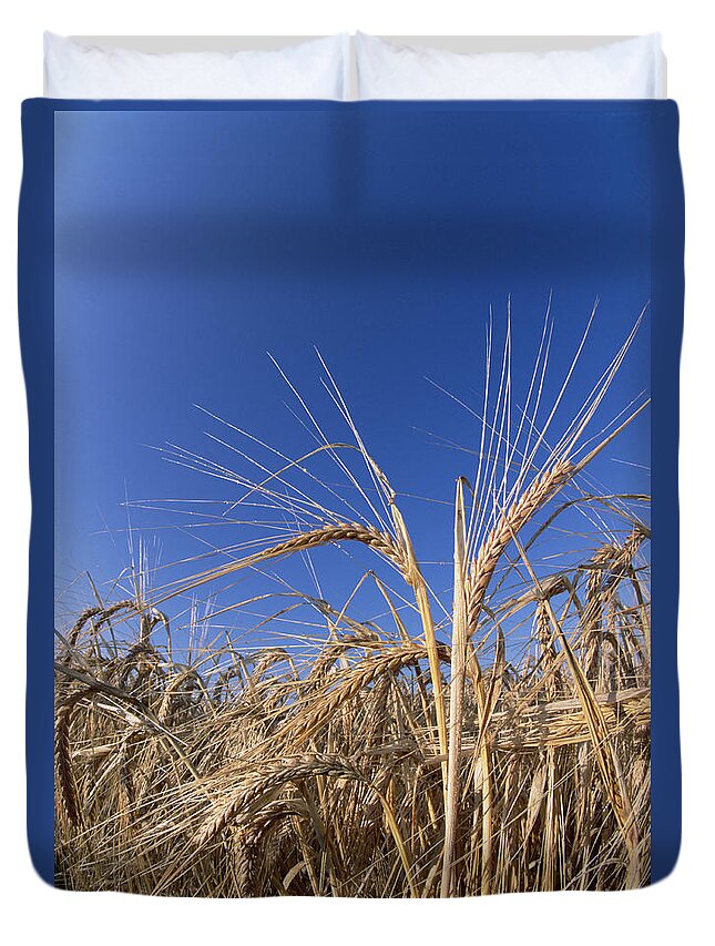 Feb0514 Duvet Cover featuring the photograph Barley Field Germany by Konrad Wothe