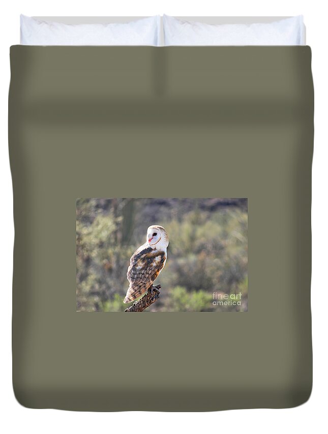 Owl Duvet Cover featuring the photograph Barn Owl 1 by Al Andersen