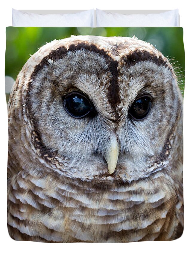 Owl Duvet Cover featuring the photograph Barred Owl by Bernd Laeschke