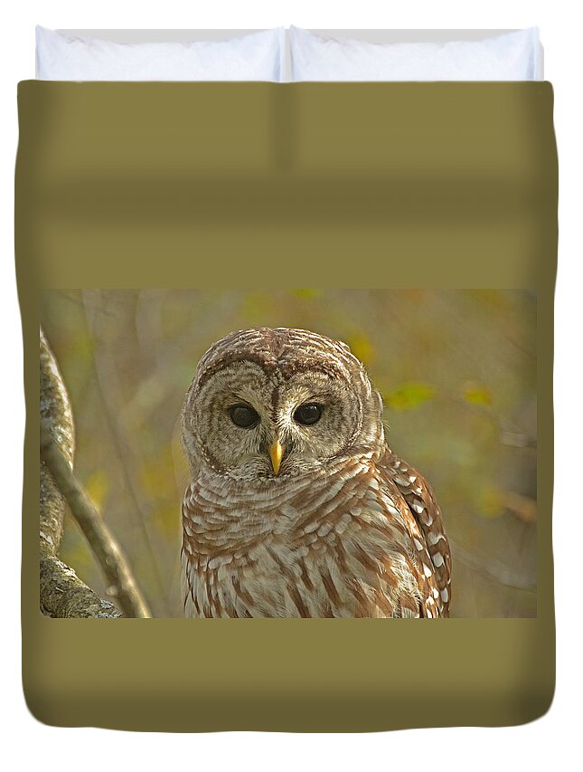 Barred Owl Duvet Cover featuring the photograph Barred Owl looking at you by Nancy Landry