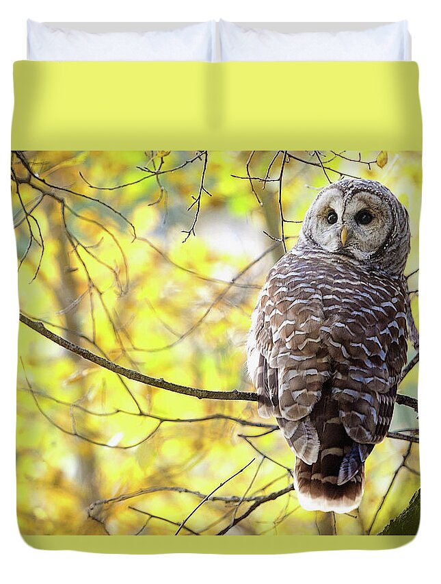 One Animal Duvet Cover featuring the photograph Barred Owl Strix Varia by Steve Nagy / Design Pics