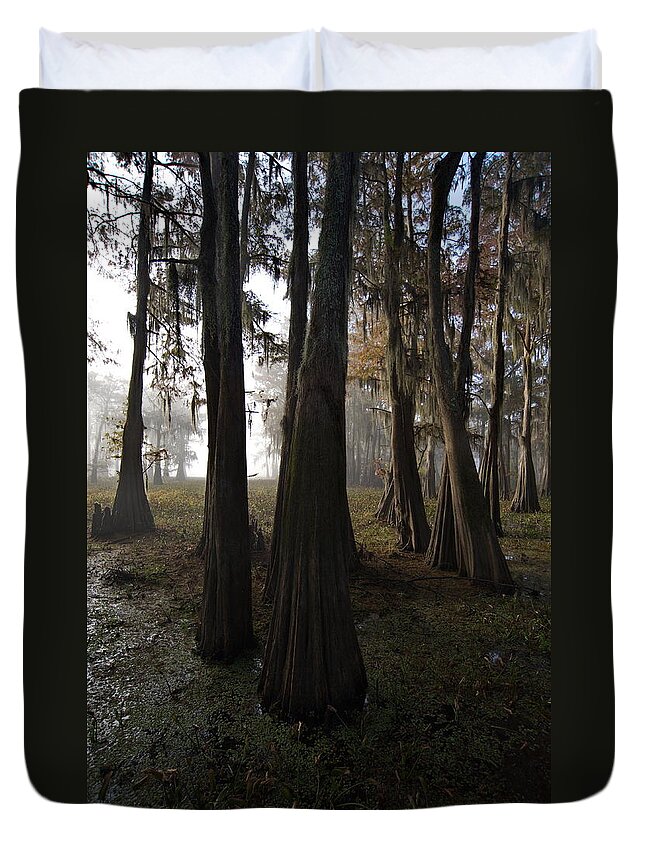 Atchafalaya Basin Duvet Cover featuring the photograph Basin Sentinels by Ron Weathers