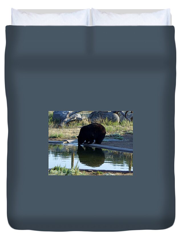 Lions Tigers And Bears Duvet Cover featuring the photograph Bear 4 by Phyllis Spoor