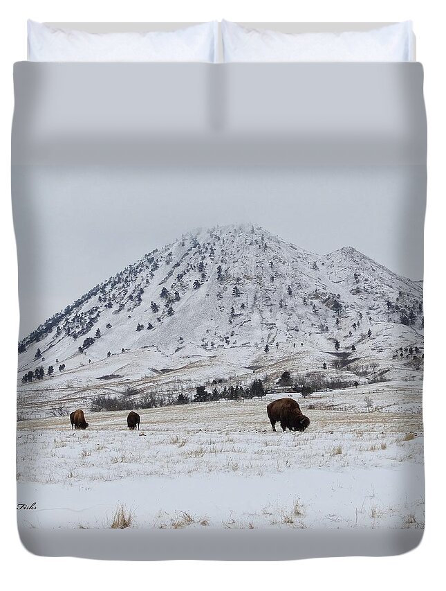 Bear Duvet Cover featuring the photograph Bear Butte Buffalo by Fiskr Larsen