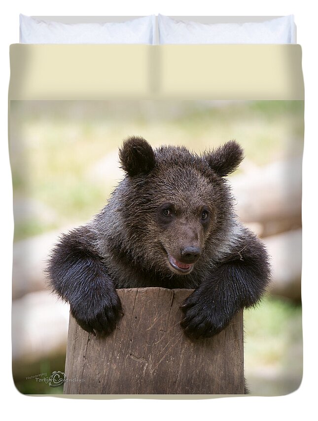 Bear Cub Duvet Cover featuring the photograph Bear Cub by Torbjorn Swenelius