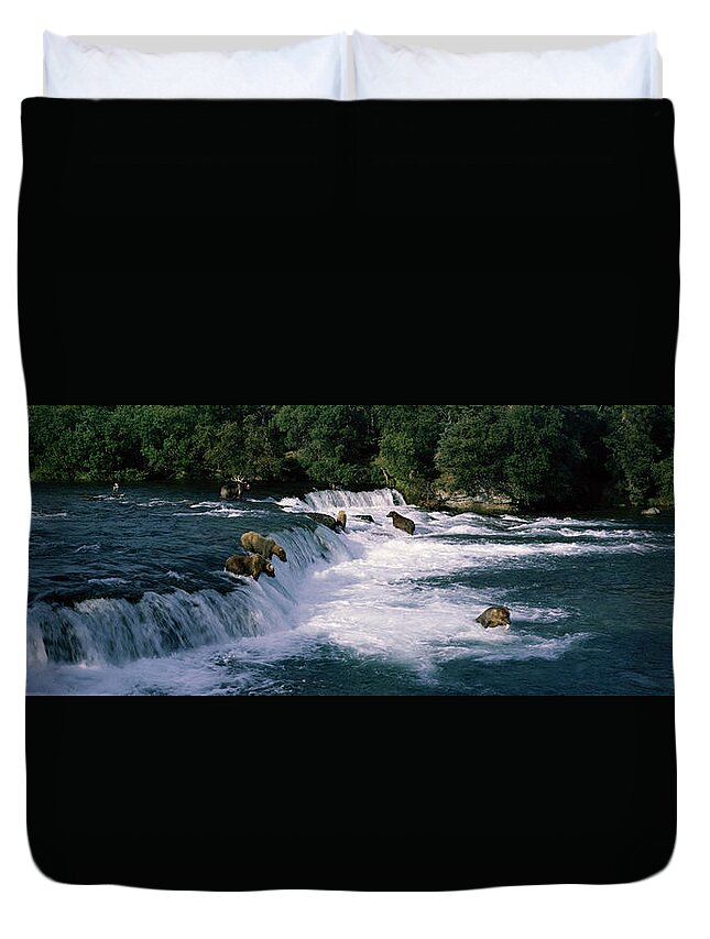 Photography Duvet Cover featuring the photograph Bears Fish Brooks Fall Katmai Ak by Panoramic Images