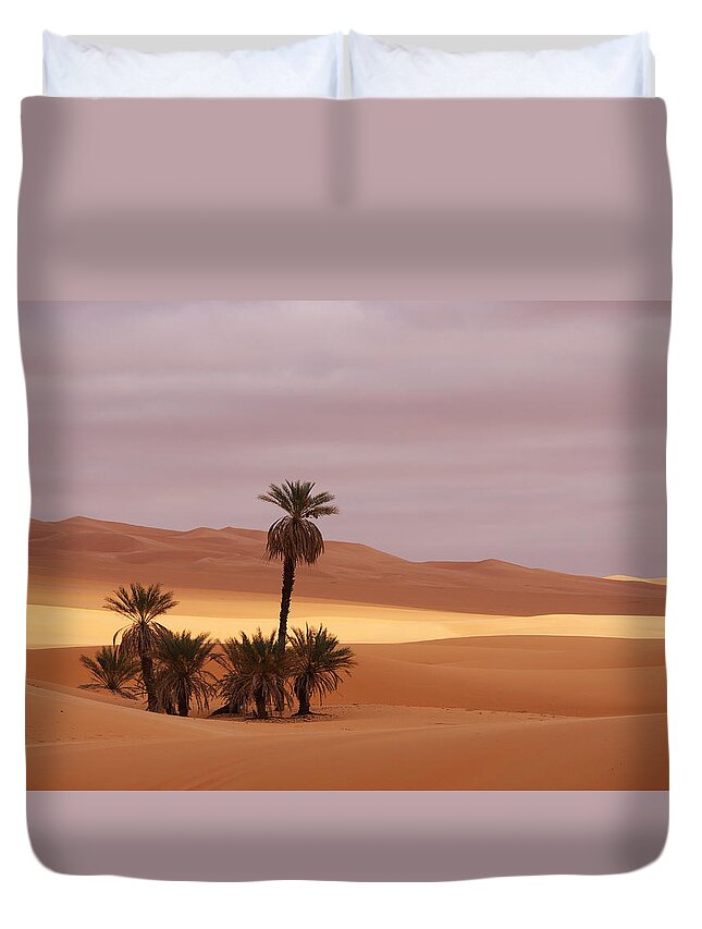Desert Duvet Cover featuring the photograph Beautiful desert by Ivan Slosar