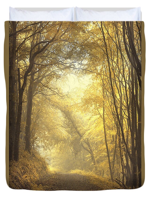 Alley Duvet Cover featuring the photograph Beautiful Fall by Evelina Kremsdorf