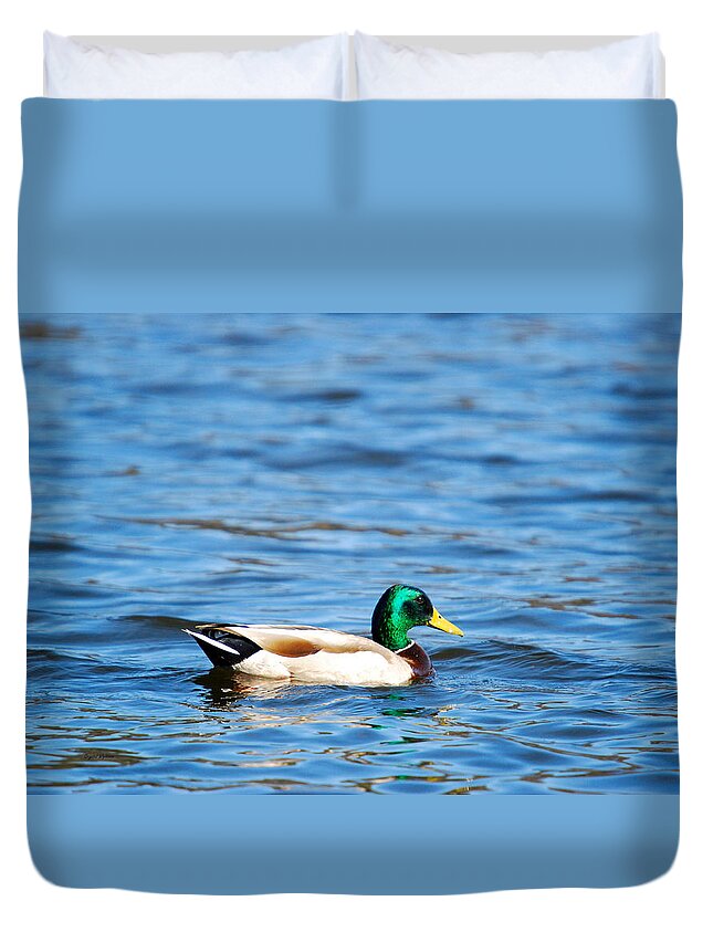 Male Duvet Cover featuring the photograph Beautiful Male Mallard by Crystal Wightman