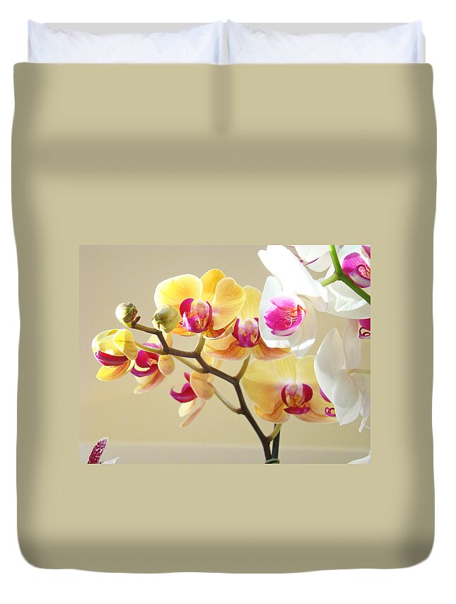 Orange Duvet Cover featuring the photograph Beautiful Orchids Floral art Prints Orchid Flowers by Patti Baslee